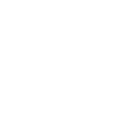 活动
